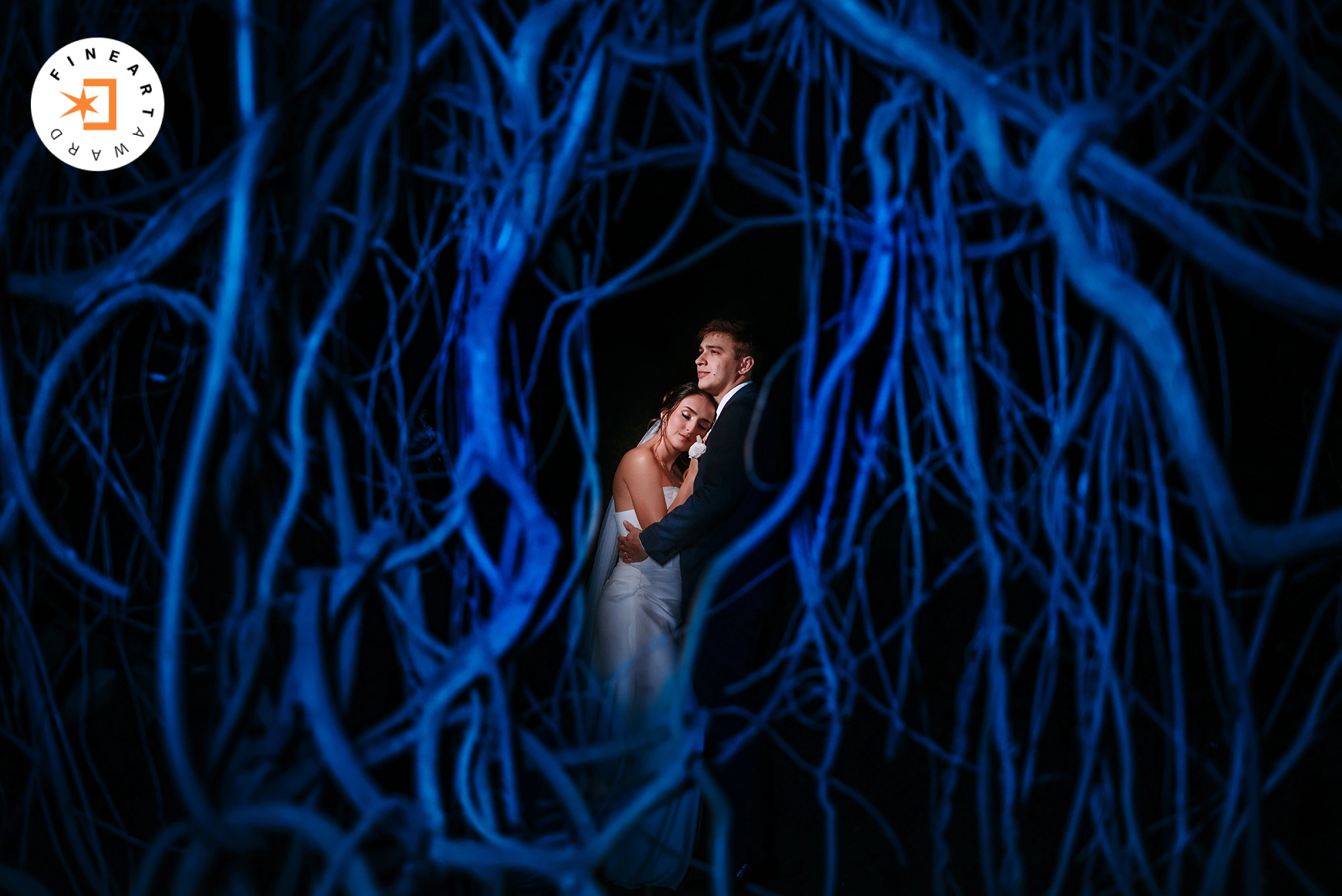 Foto por {{ $image->photographer_username }}