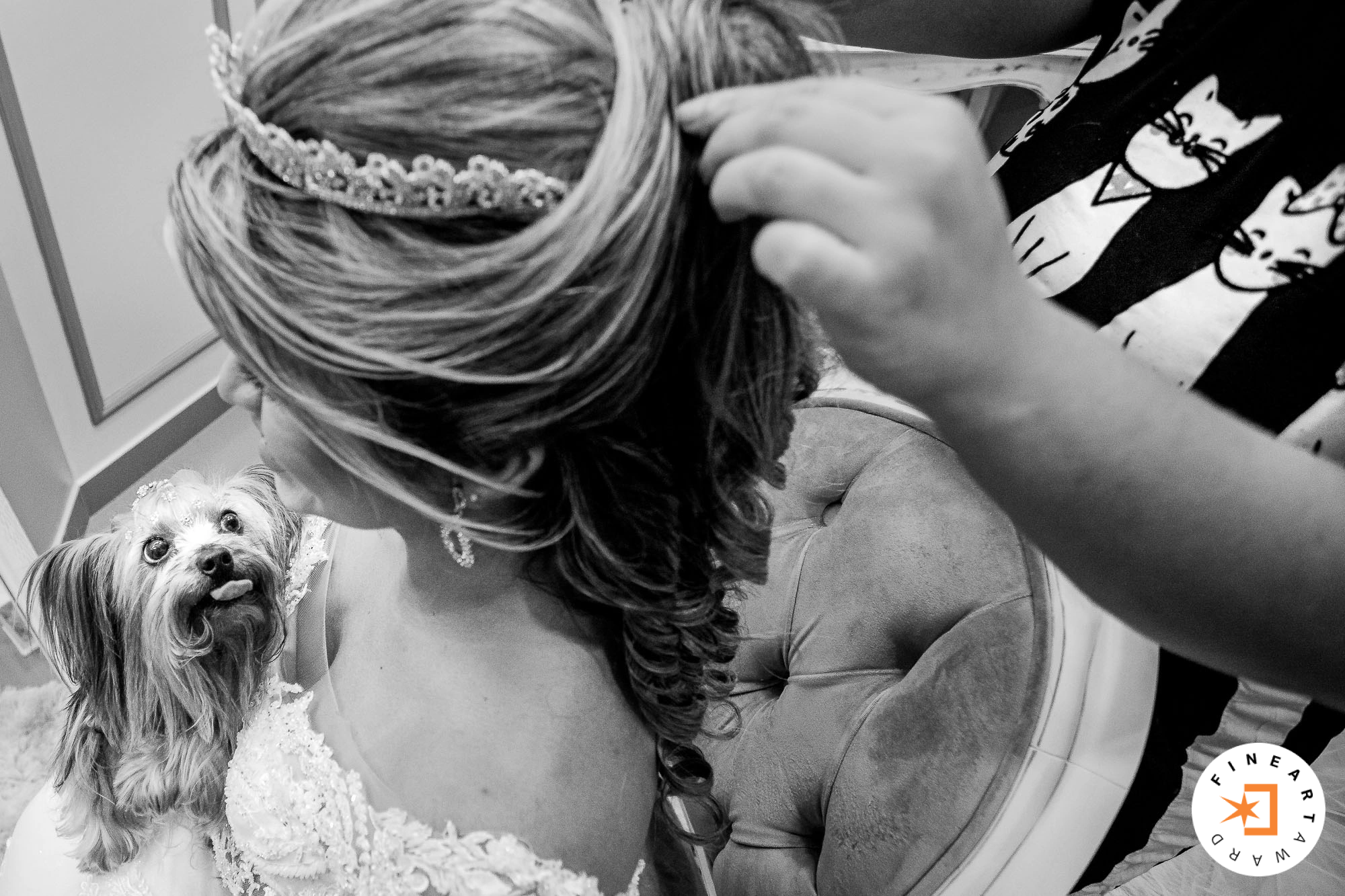 Foto por {{ $image->photographer_username }}