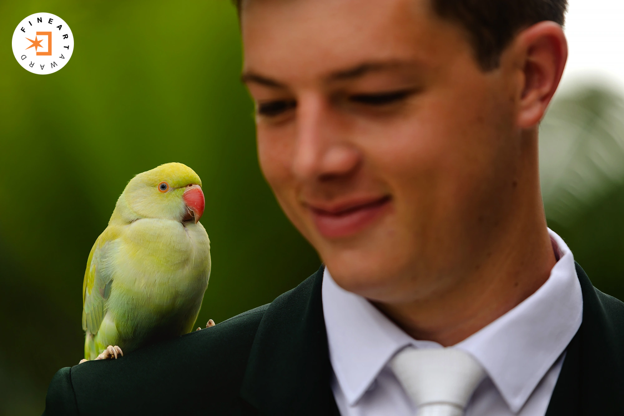 Foto por {{ $image->photographer_username }}