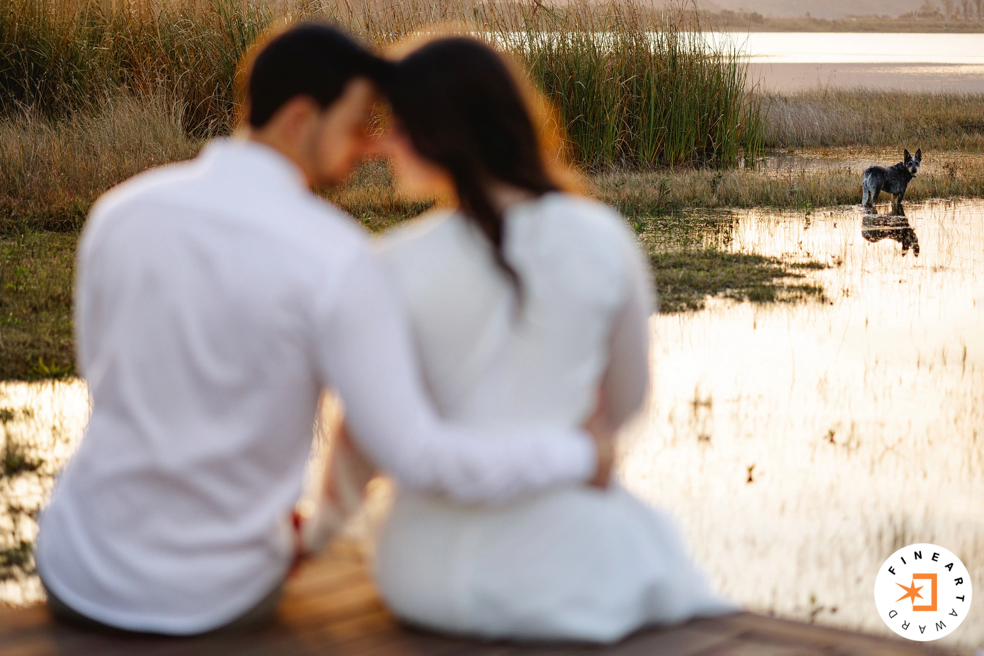 Foto por {{ $image->photographer_username }}