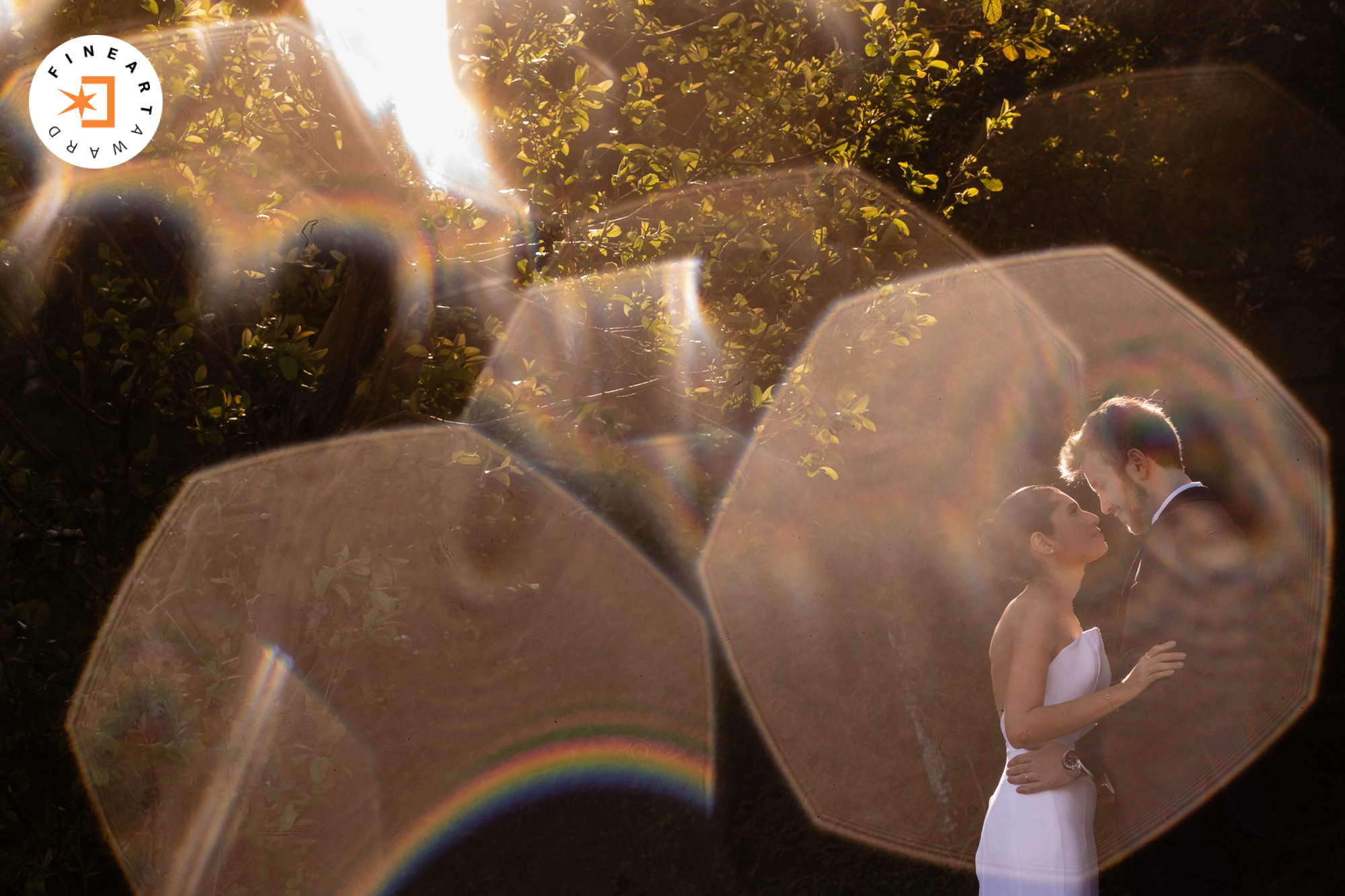 Foto por {{ $image->photographer_username }}