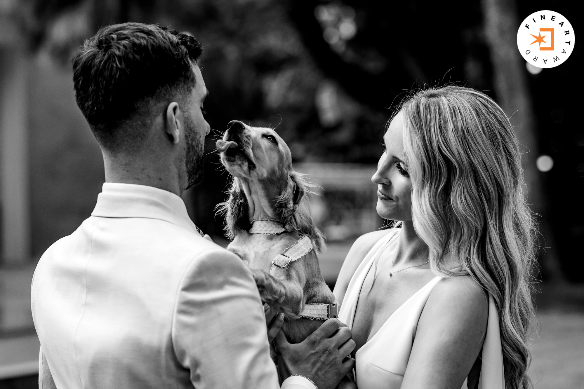 Foto por {{ $image->photographer_username }}