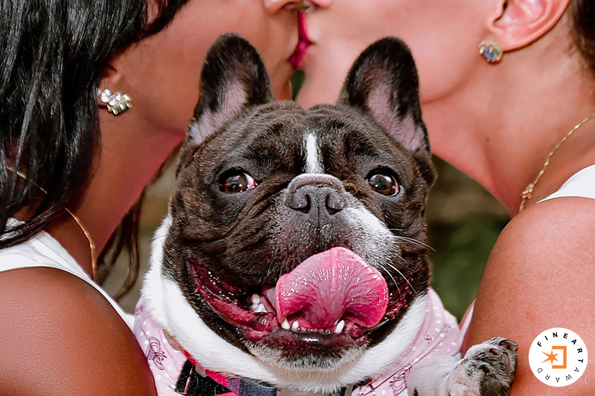 Foto por {{ $image->photographer_username }}