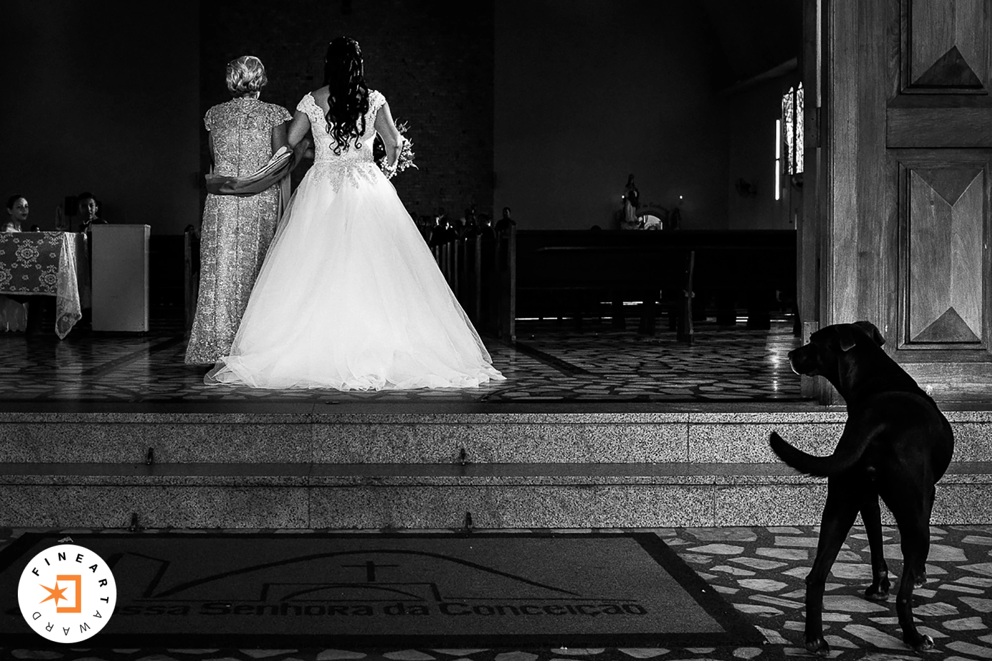 Foto por {{ $image->photographer_username }}