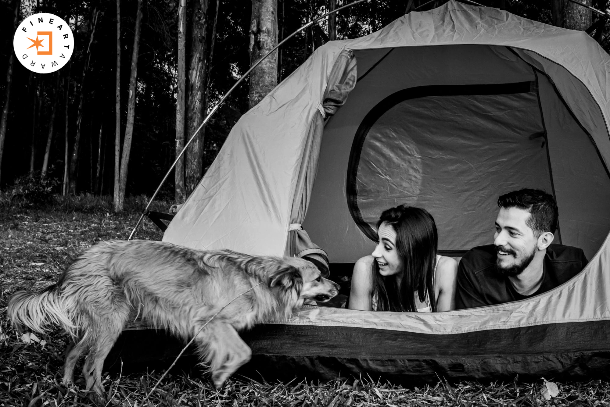 Foto por {{ $image->photographer_username }}