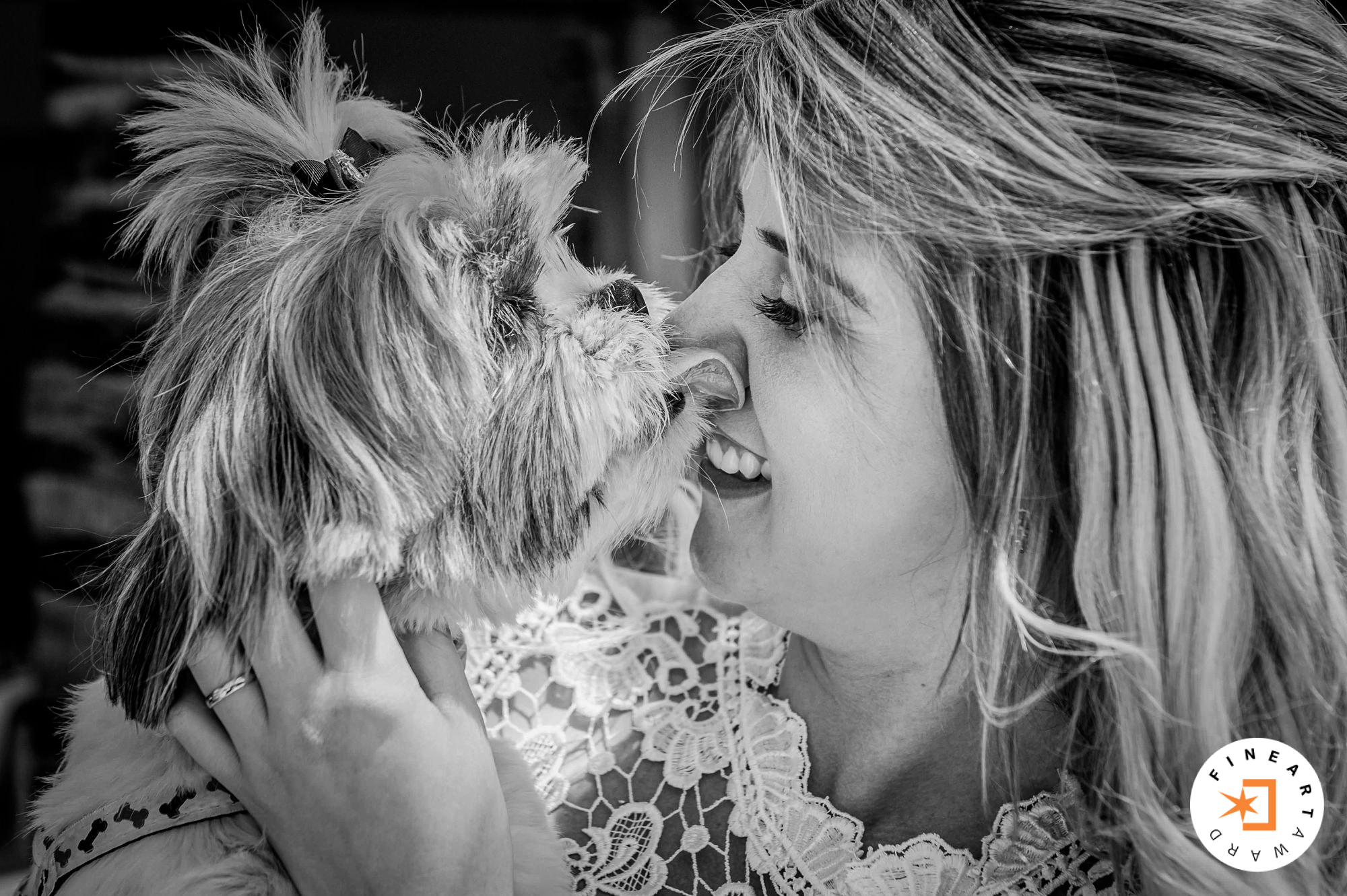 Foto por {{ $image->photographer_username }}