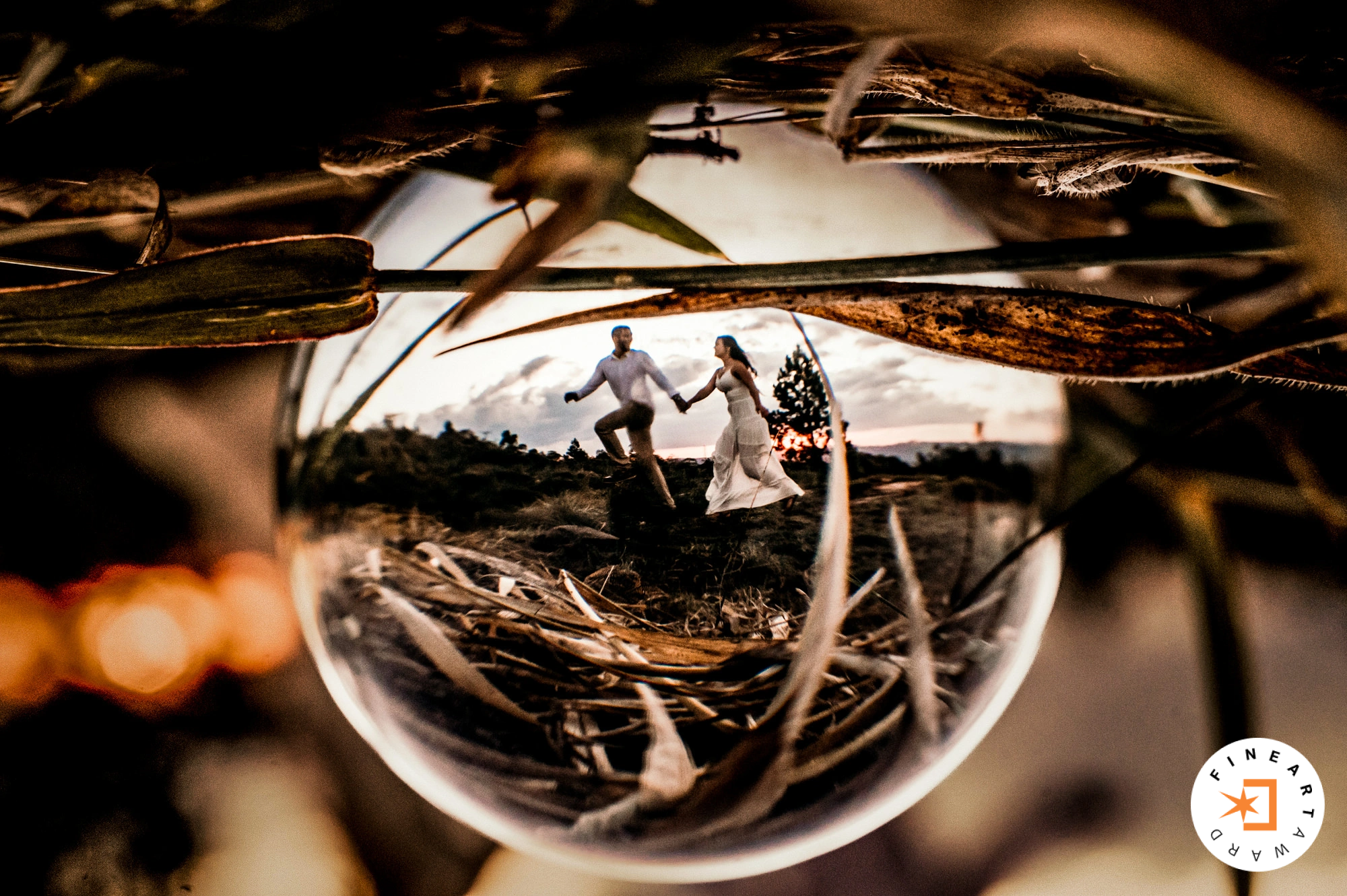 Foto por {{ $image->photographer_username }}