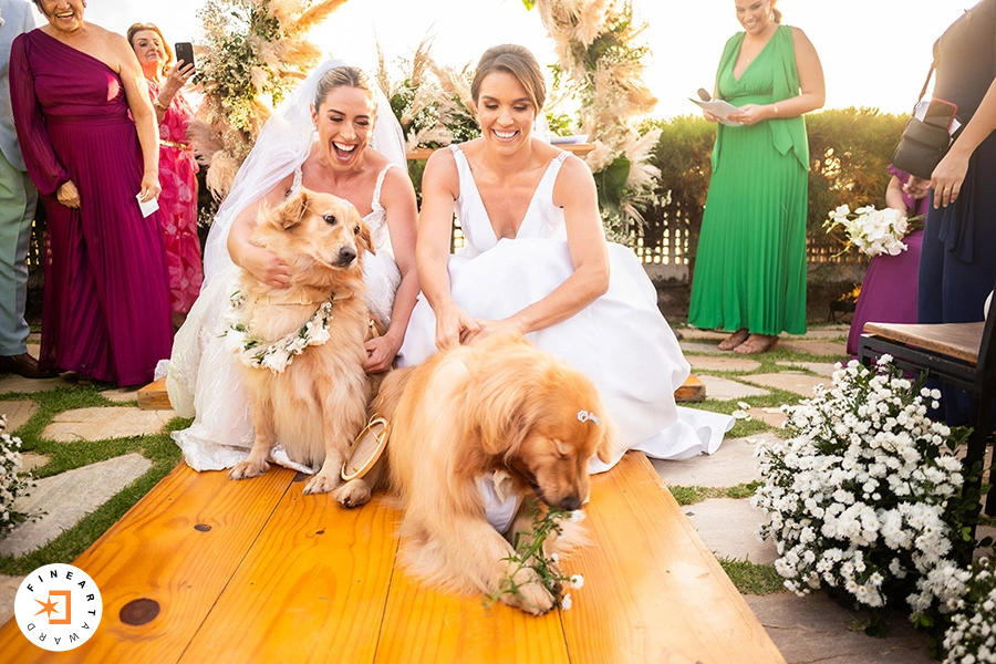 Foto por {{ $image->photographer_username }}