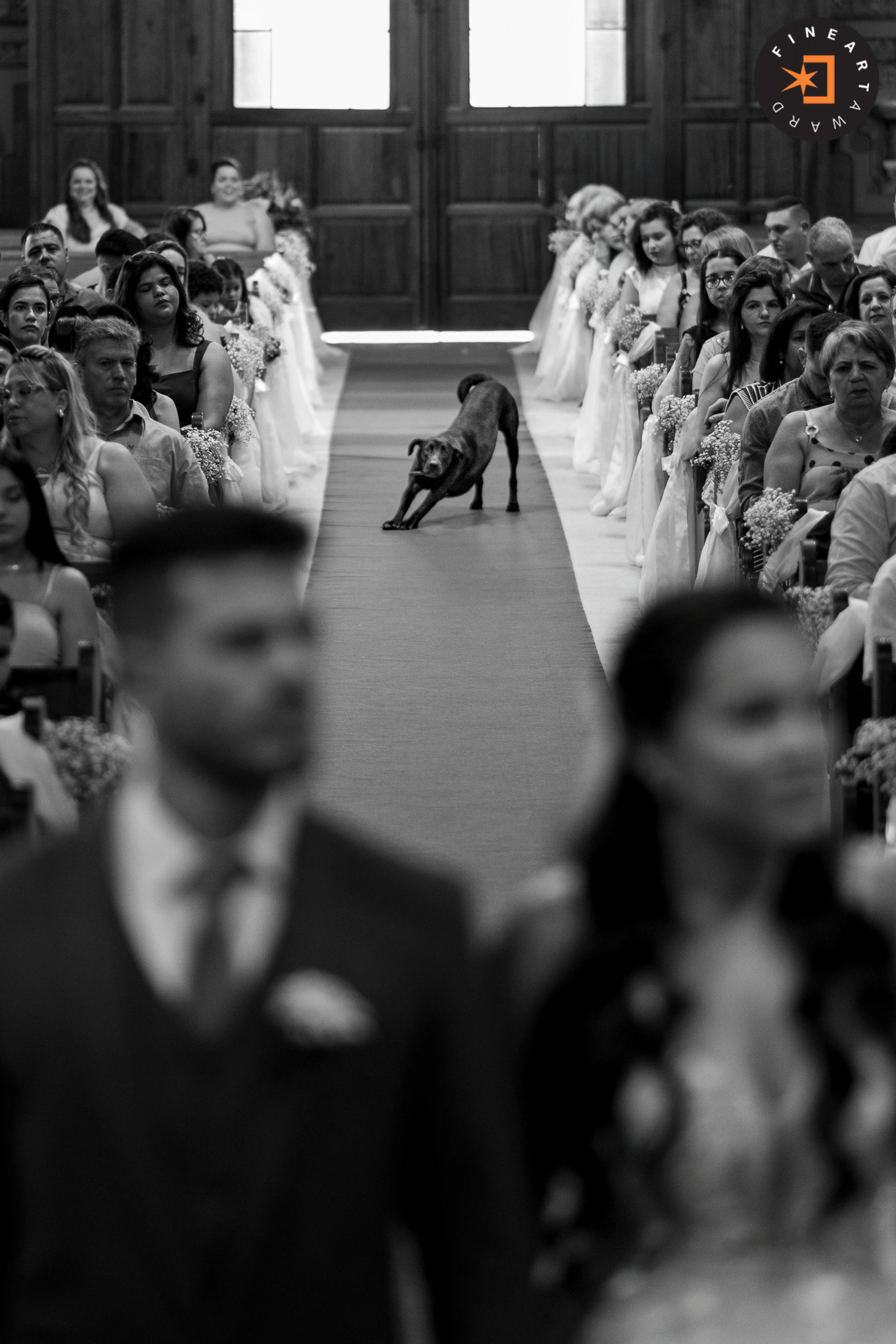 Foto por GustavoVolpe
