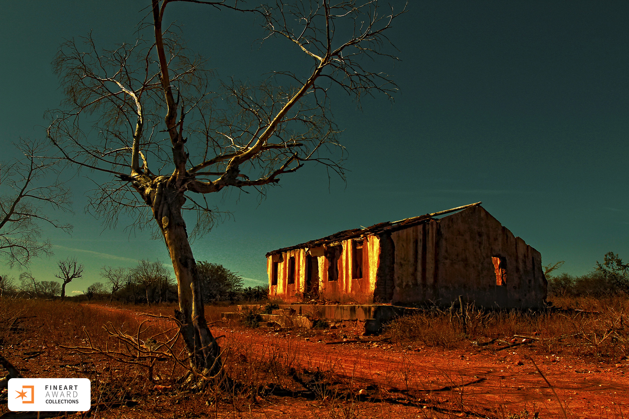 Galeria premiada de ALDO BERNARDIS