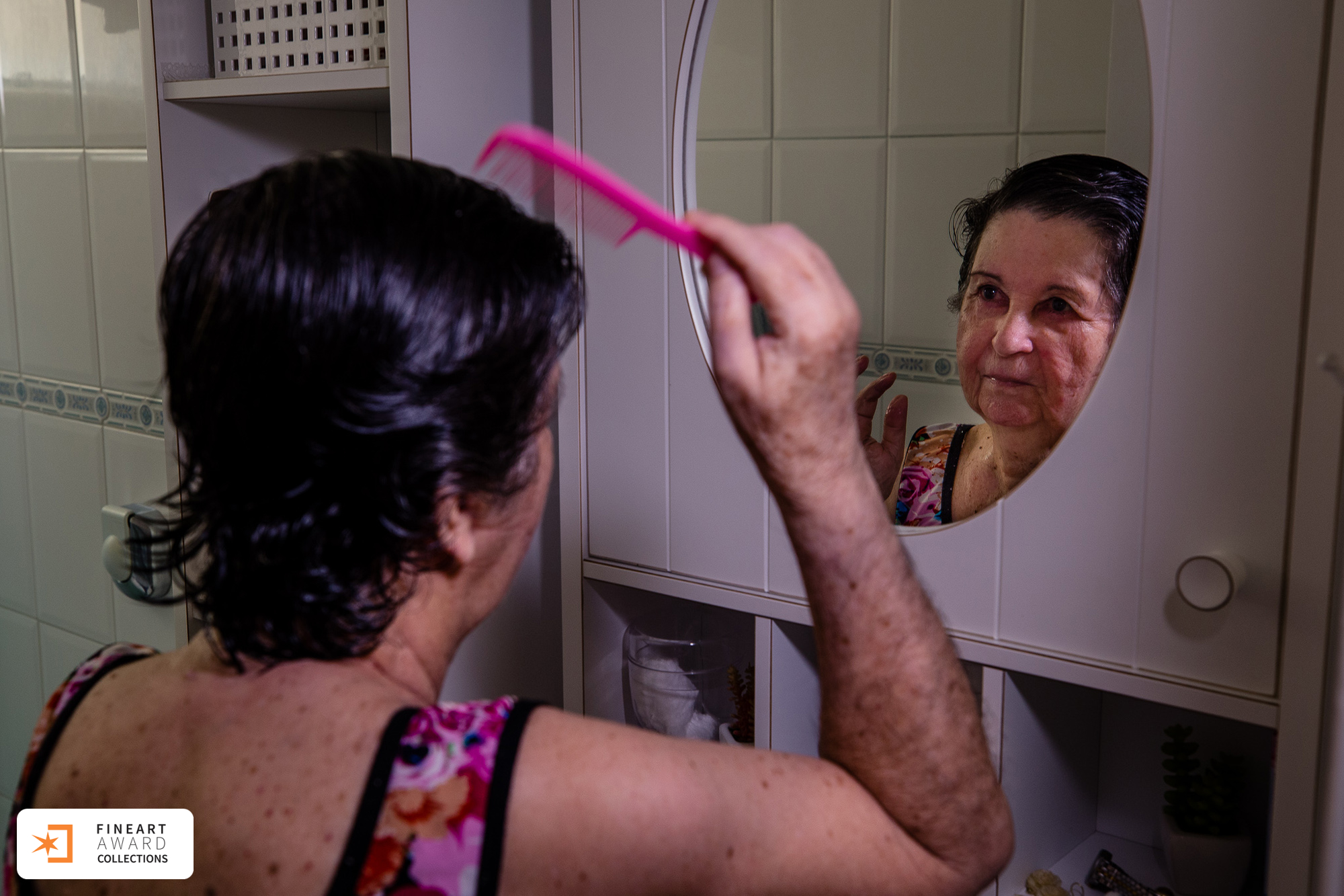 Transitoriedade da vida — galeria premiada de Paula Dau
