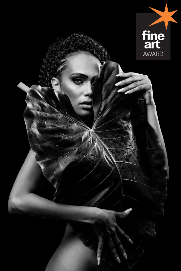 Foto por {{ $entry->photographer_username }}