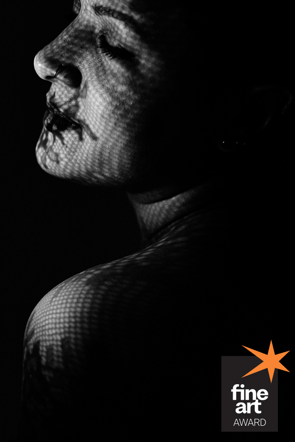 Foto por {{ $image->photographer_username }}