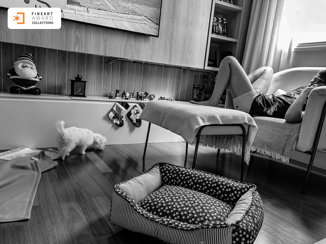 Lola — galeria premiada de Fernanda Toigo