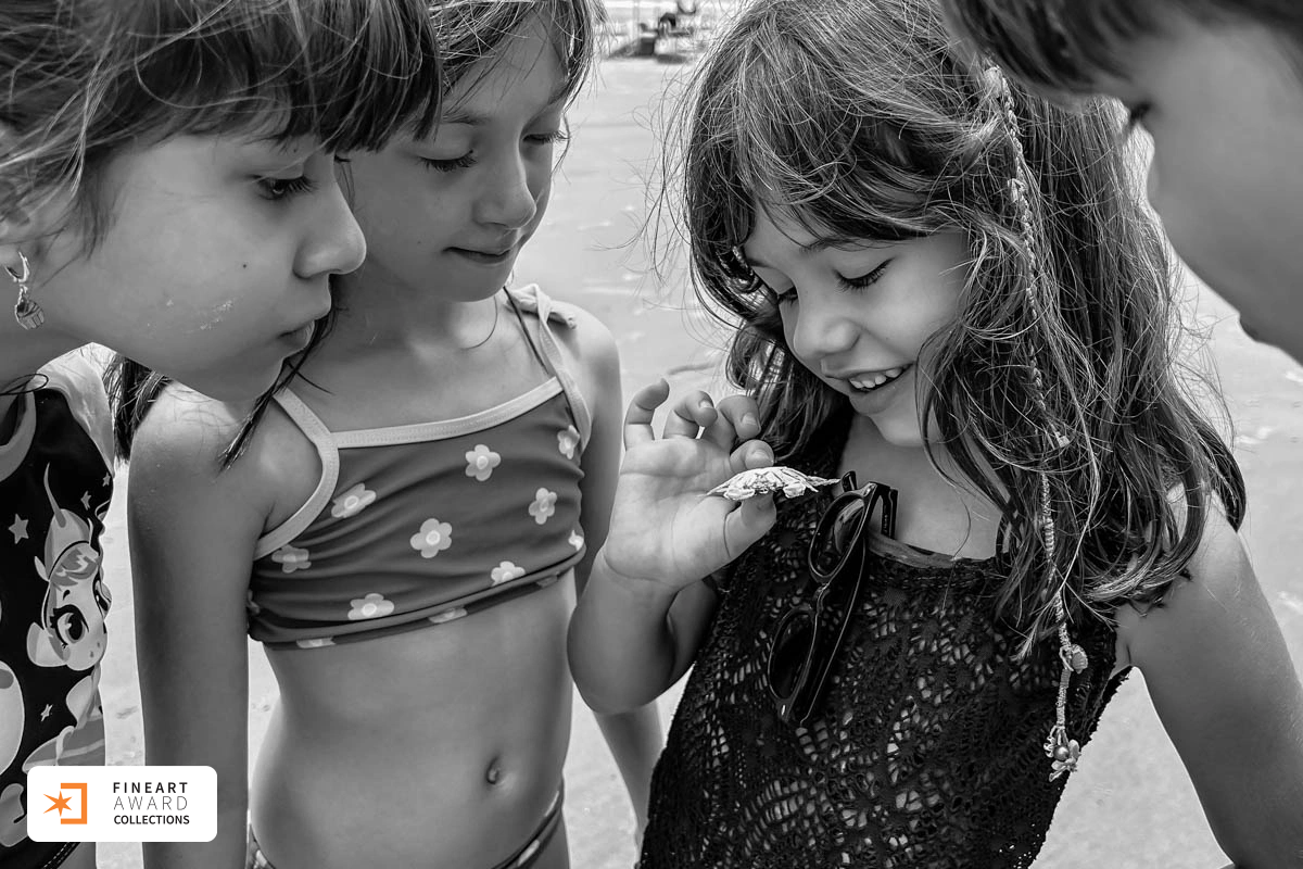 Sal à gosto — galeria premiada de Fernanda Toigo