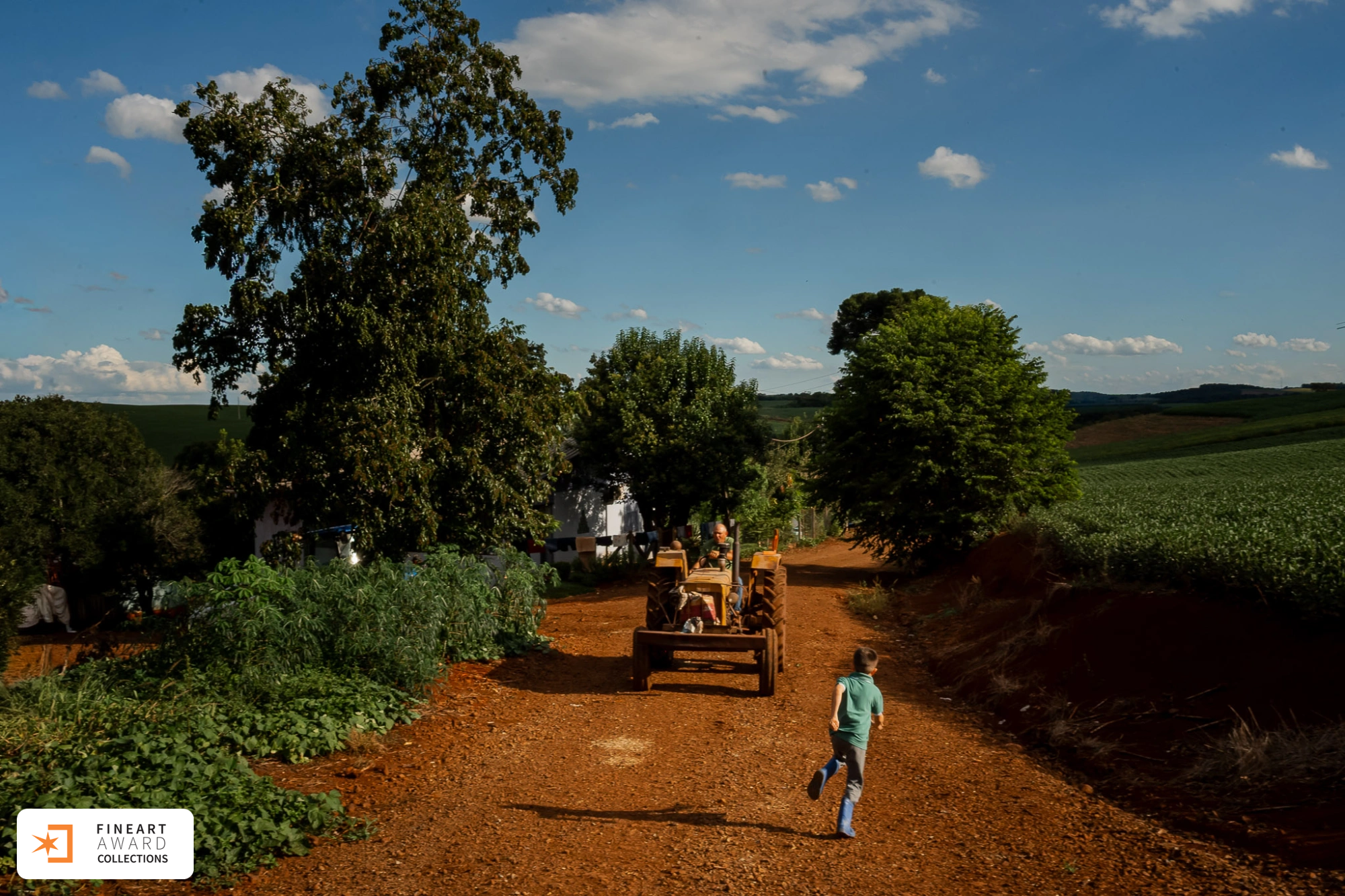 Entre a terra e o tempo — galeria premiada de Michele Staggemeier