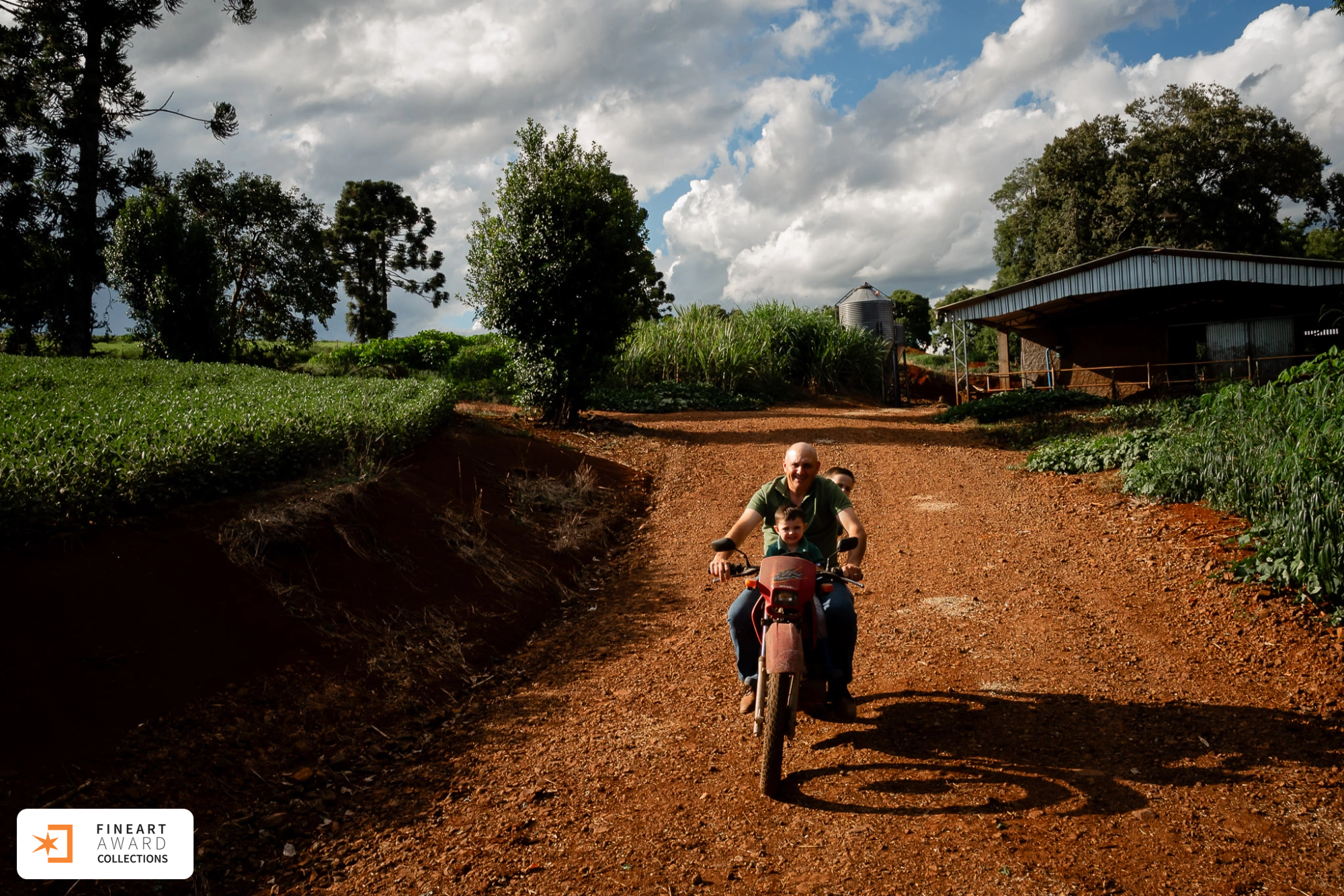 Entre a terra e o tempo — galeria premiada de Michele Staggemeier
