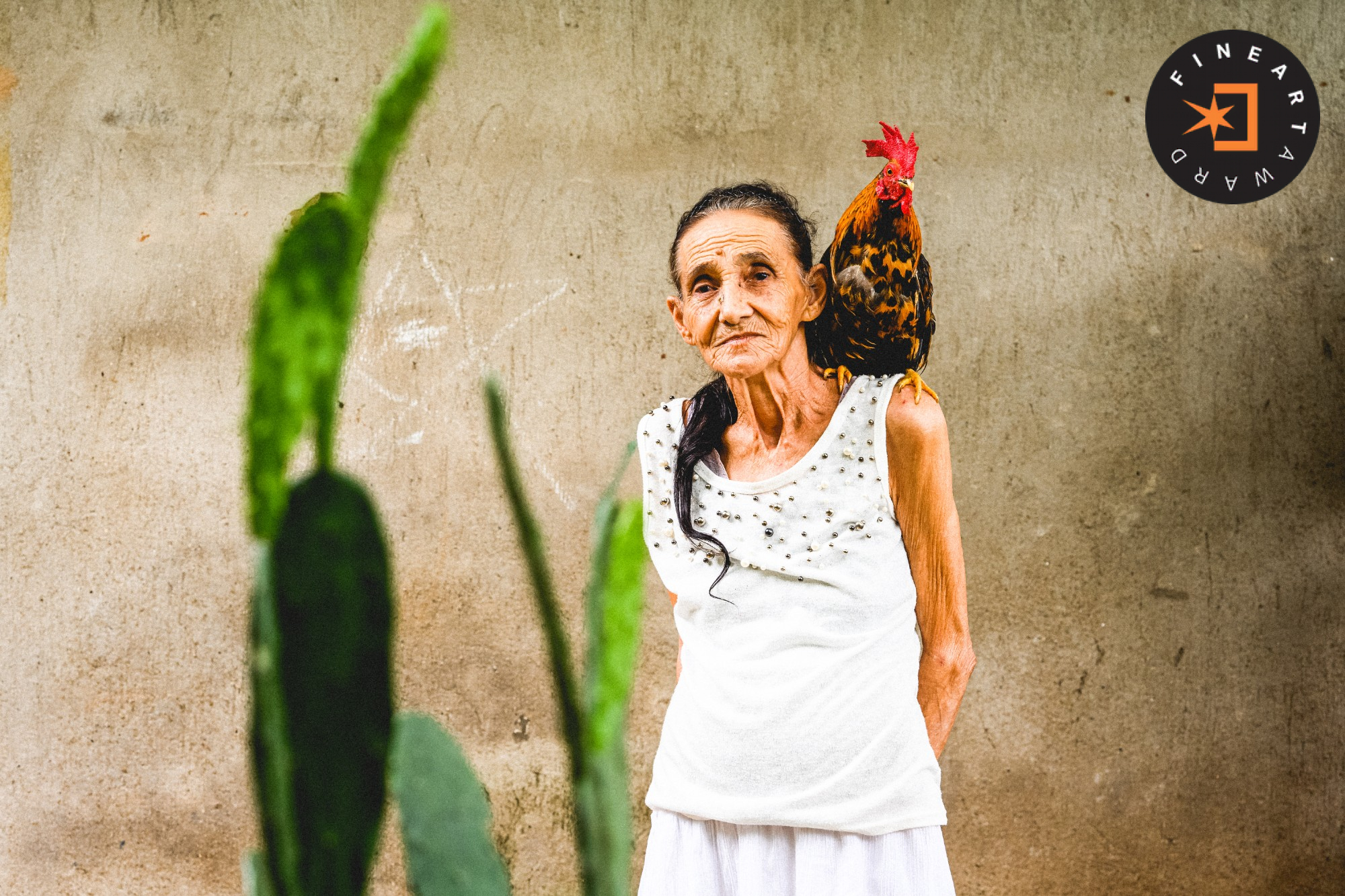 Foto por {{ $image->photographer_username }}