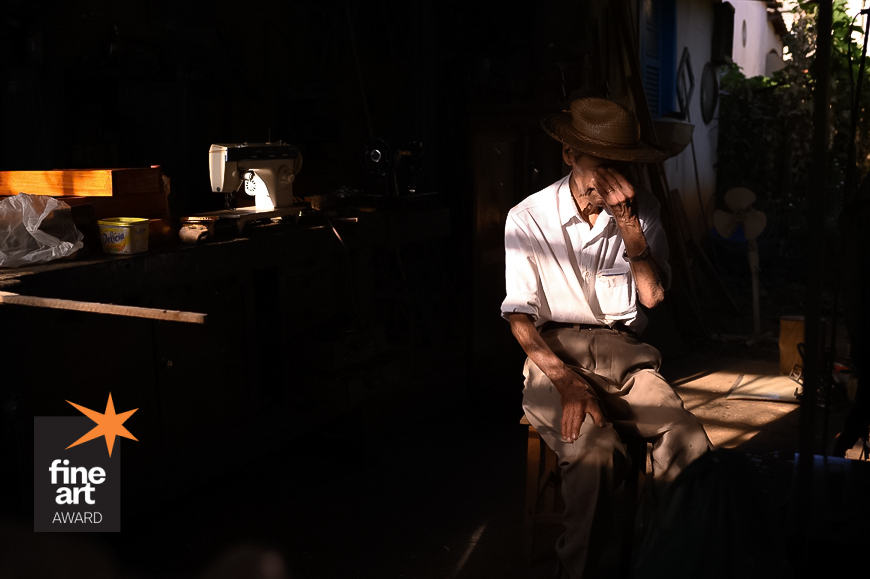 Foto por {{ $image->photographer_username }}