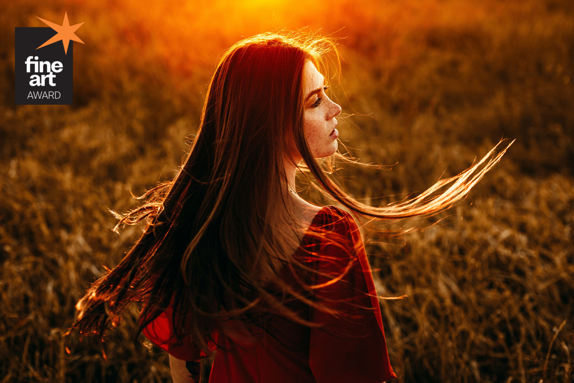 Foto por {{ $image->photographer_username }}