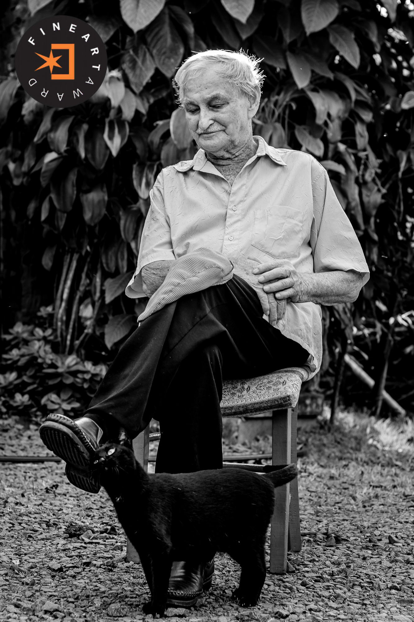 Foto por {{ $image->photographer_username }}