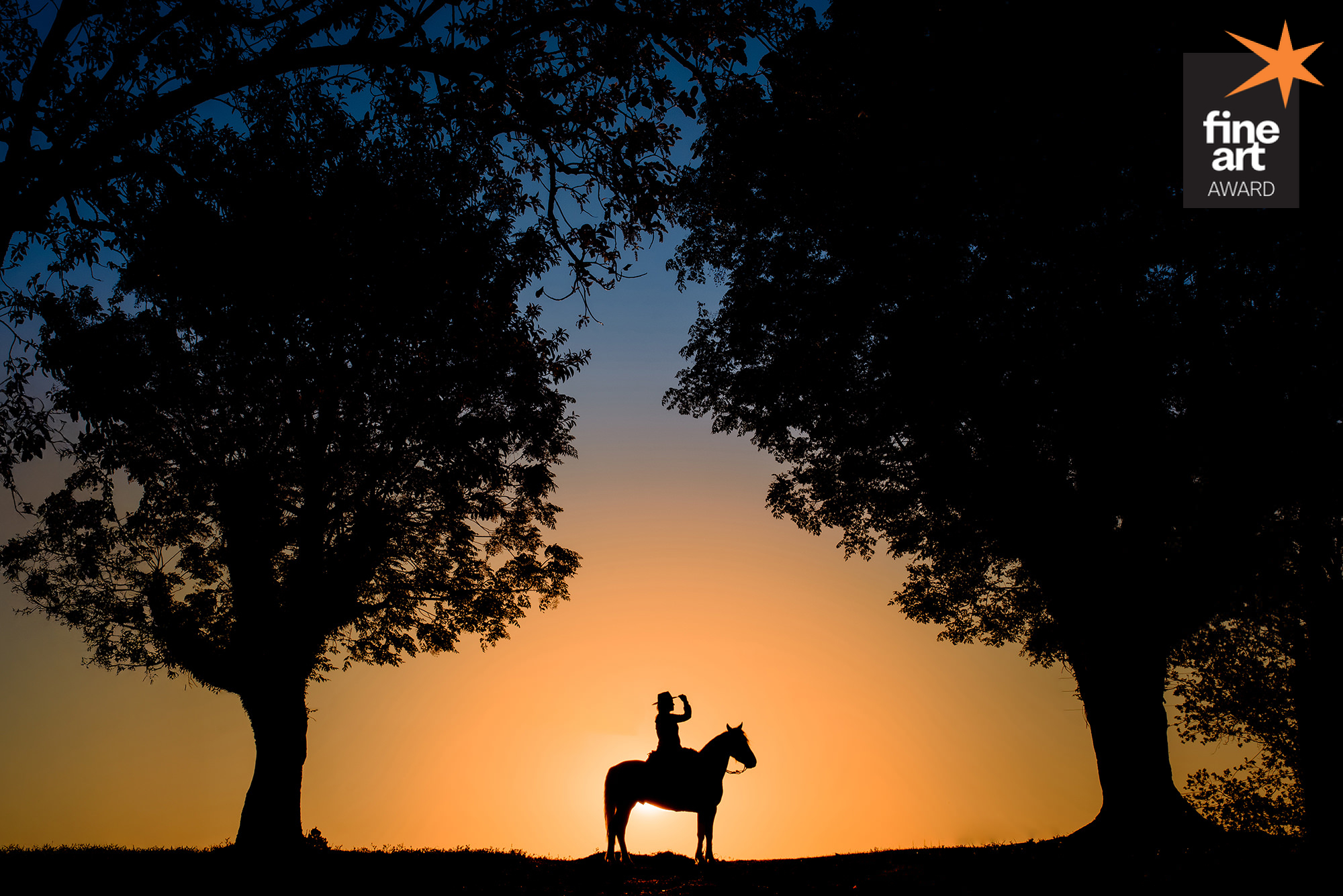 Foto por {{ $image->photographer_username }}