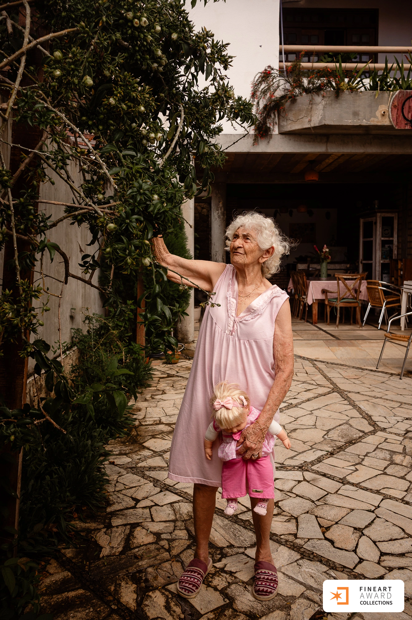 A vida acontecendo em casa. — galeria premiada de Angélica Maria De Oliveira Lima