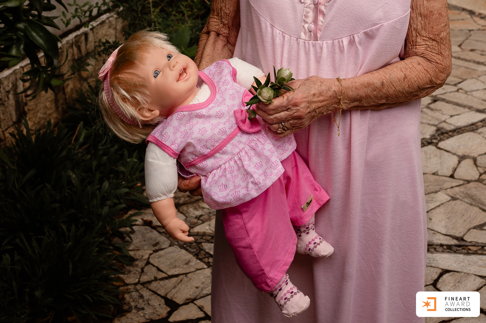 A vida acontecendo em casa. — galeria premiada de Angélica Maria De Oliveira Lima