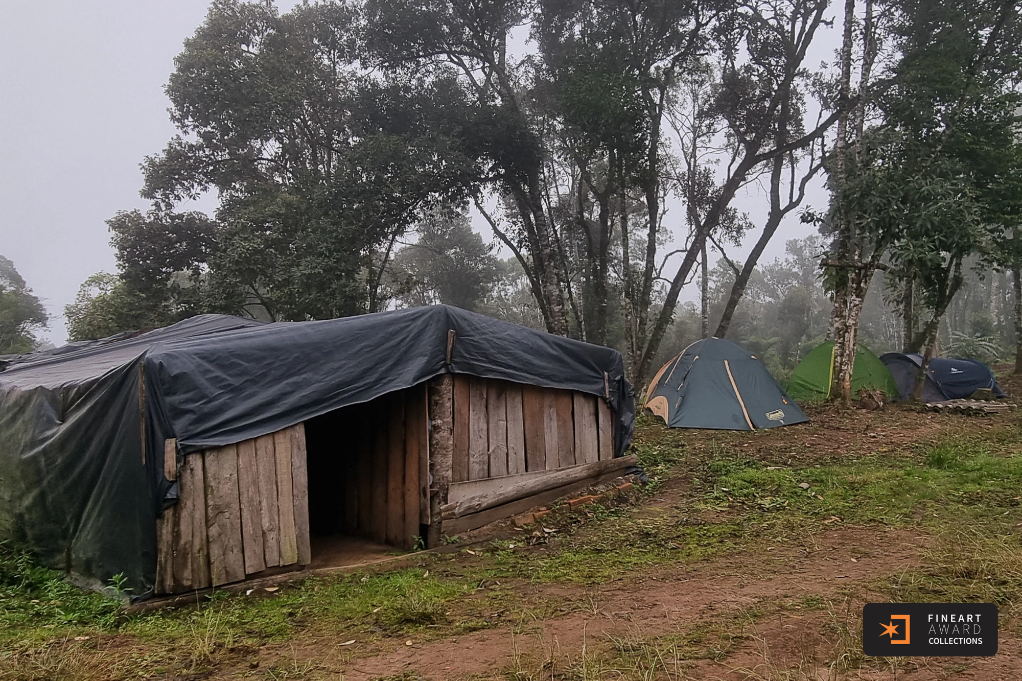 Quando o mundo desacelera — galeria premiada de NIL BERNARDO