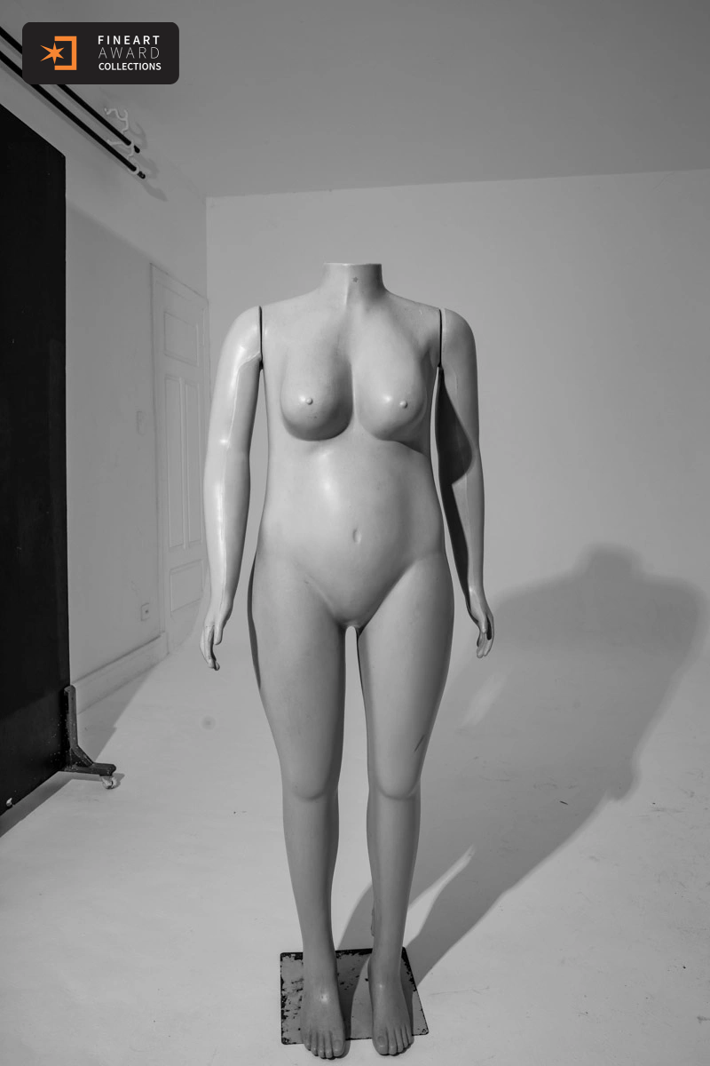 O cirurgião e a plástica — galeria premiada de Fernanda Toigo