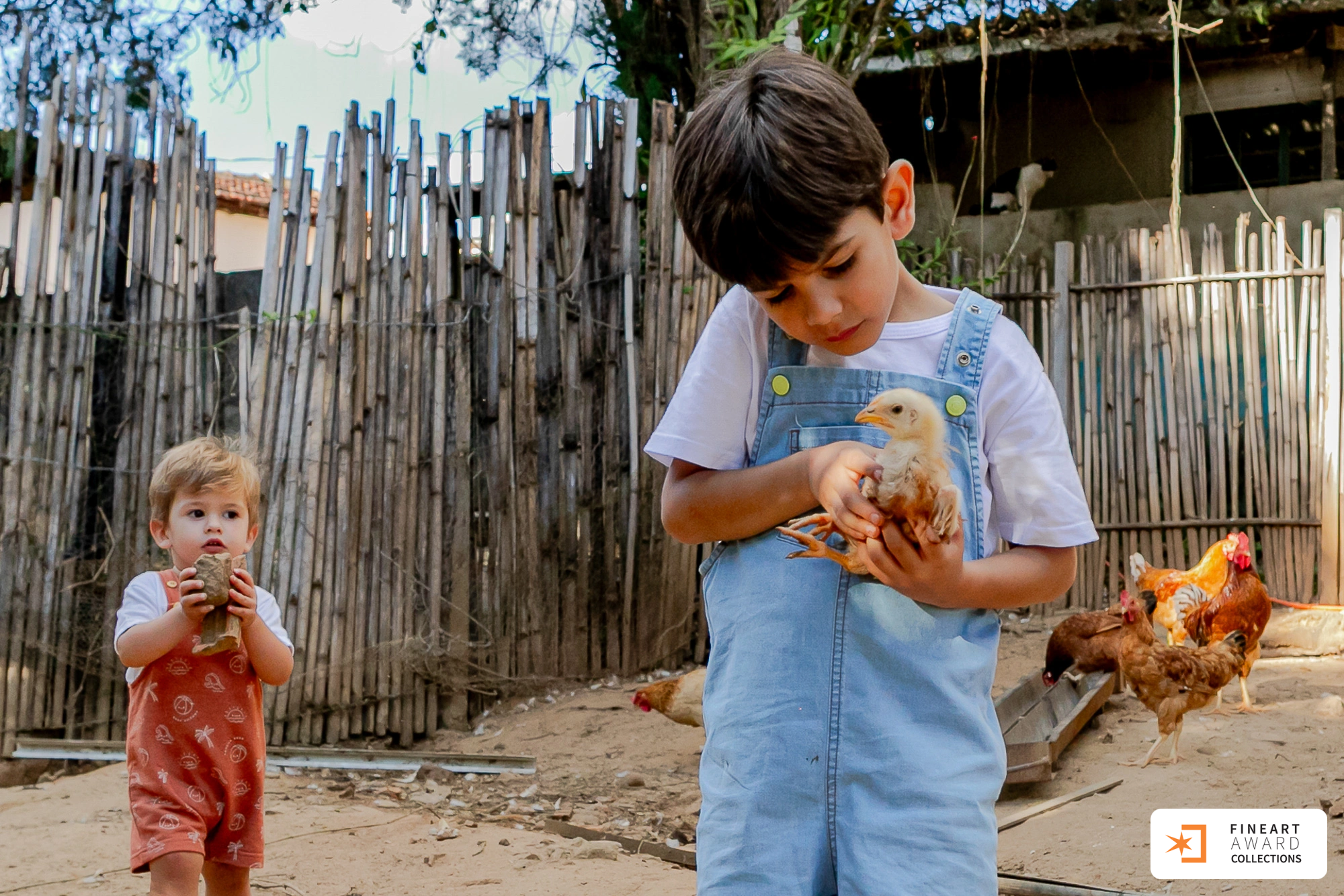 O quintal de casa — galeria premiada de Graziela Medeiros