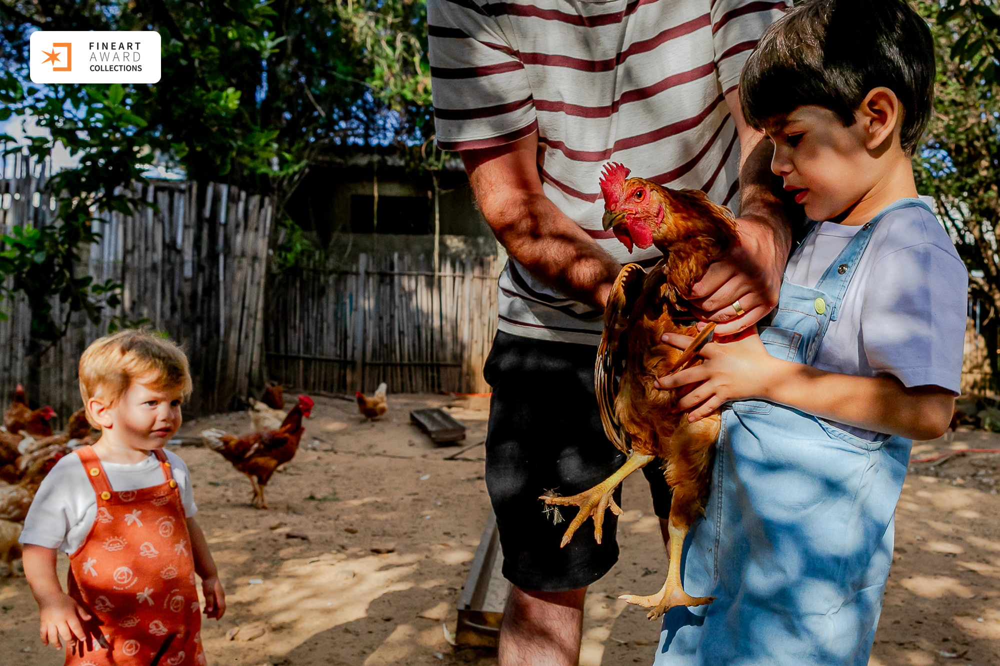 O quintal de casa — galeria premiada de Graziela Medeiros