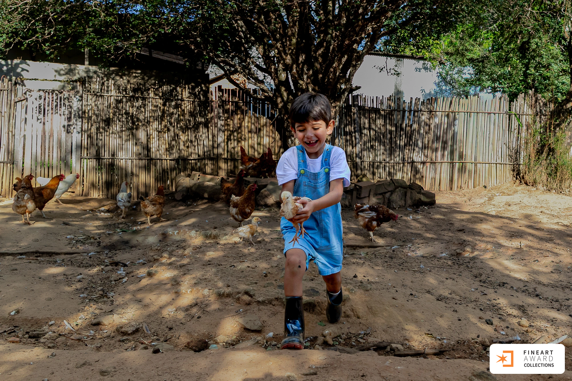O quintal de casa — galeria premiada de Graziela Medeiros