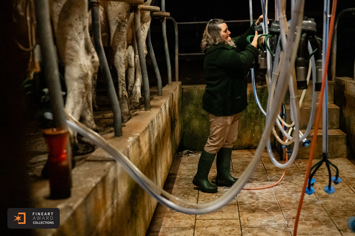 Enquanto o Dia Desperta — galeria premiada de Michele Staggemeier