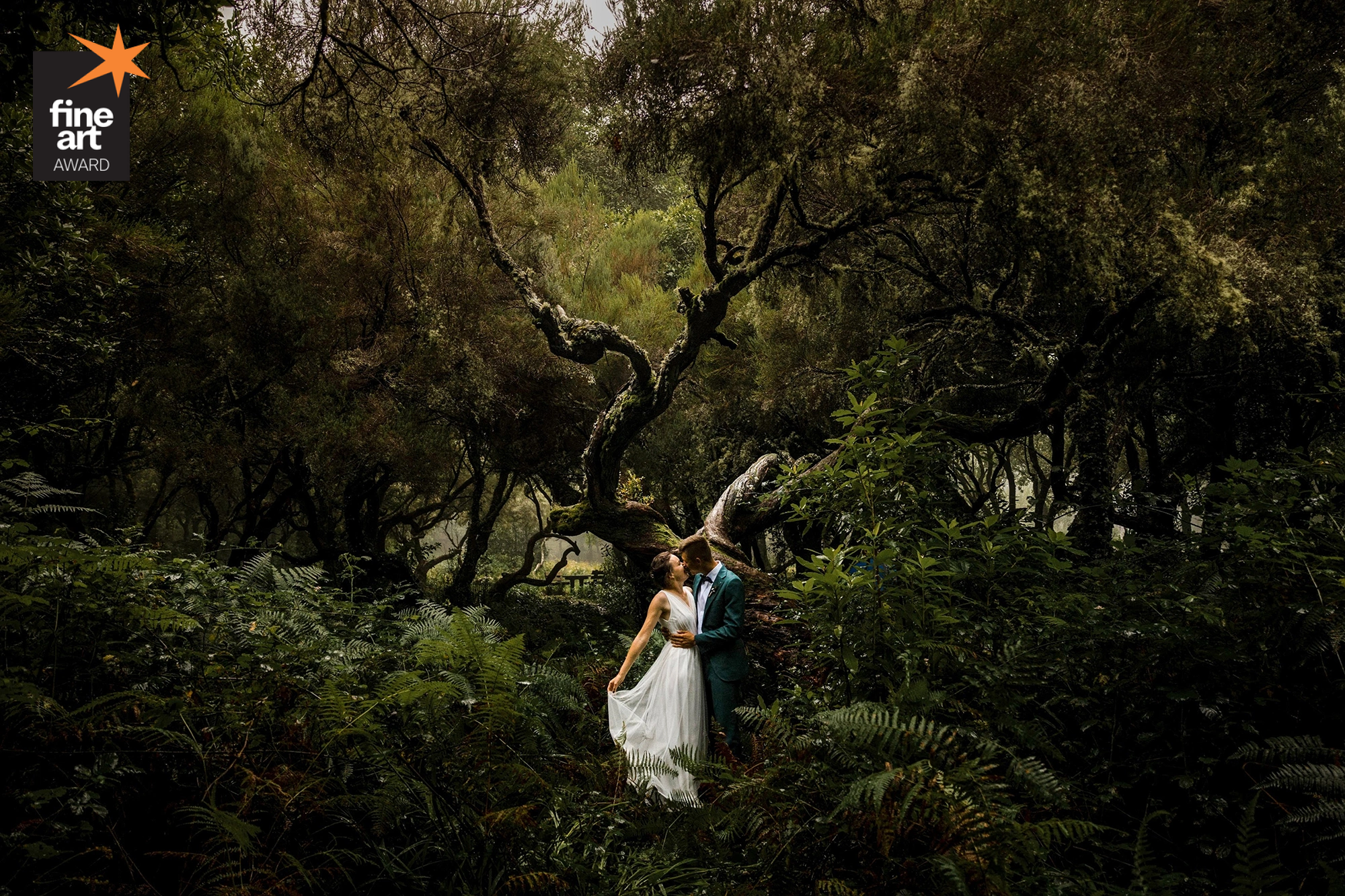 Ensaios Incríveis — fotografia premiada de Nuno Lopes