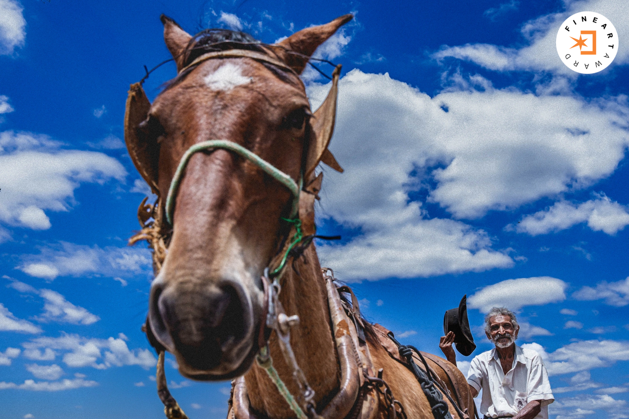 Foto por {{ $entry->photographer_username }}